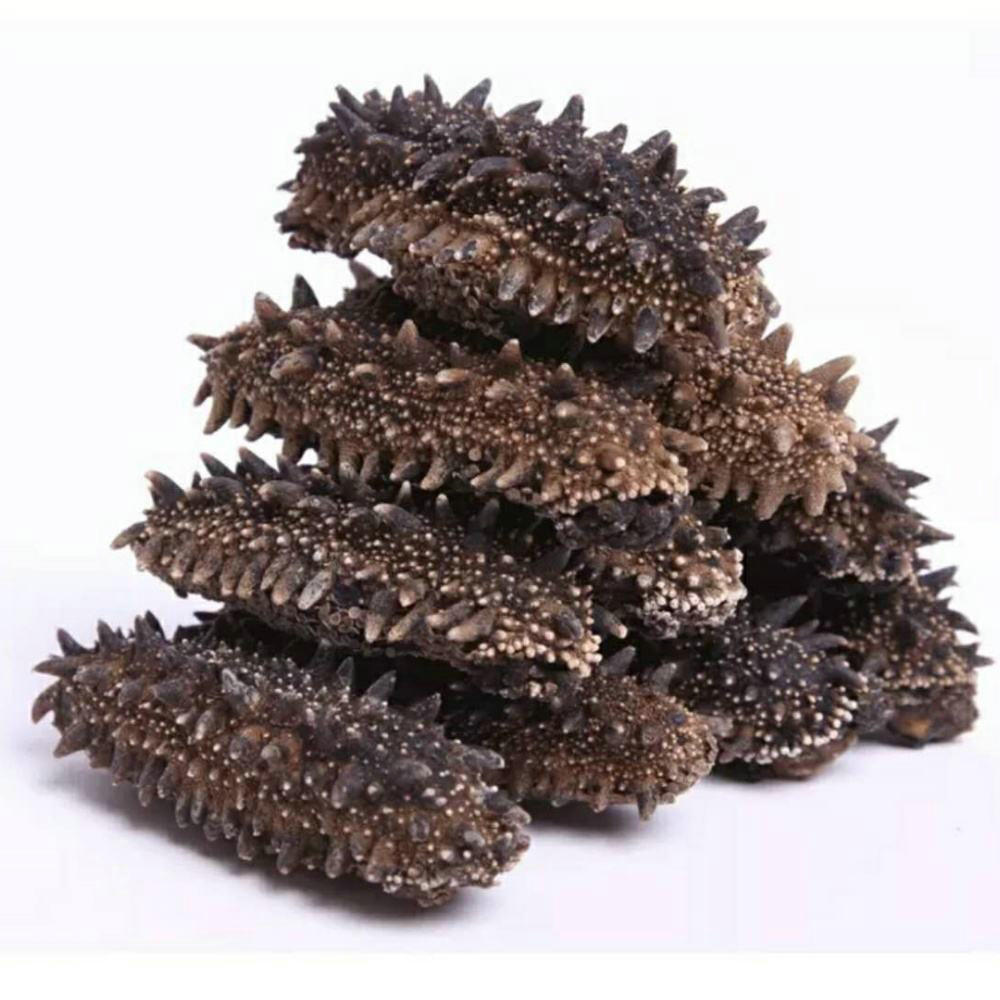 Vital Proteins Collagen Peptides Sea Cucumber Peptide Powder for Daily Chemicals Raw Material Vital Proteins Collagen Peptides Sea Cucumber Peptide Powder for Daily Chemicals Raw Material