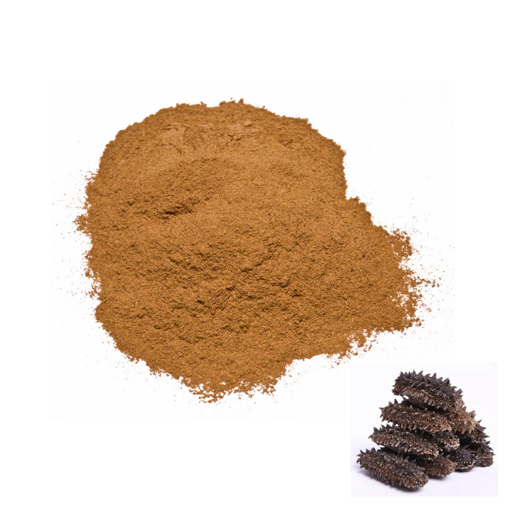 High Quality Sea Cucumber Peptides Powder 90% Sea Cucumber Extract Healthcare Supplement Sea Cucumber Peptides Powder for Sale High Quality Sea Cucumber Peptides Powder 90% Sea Cucumber Extract Healthcare Supplement Sea Cucumber Peptides Powder for Sale