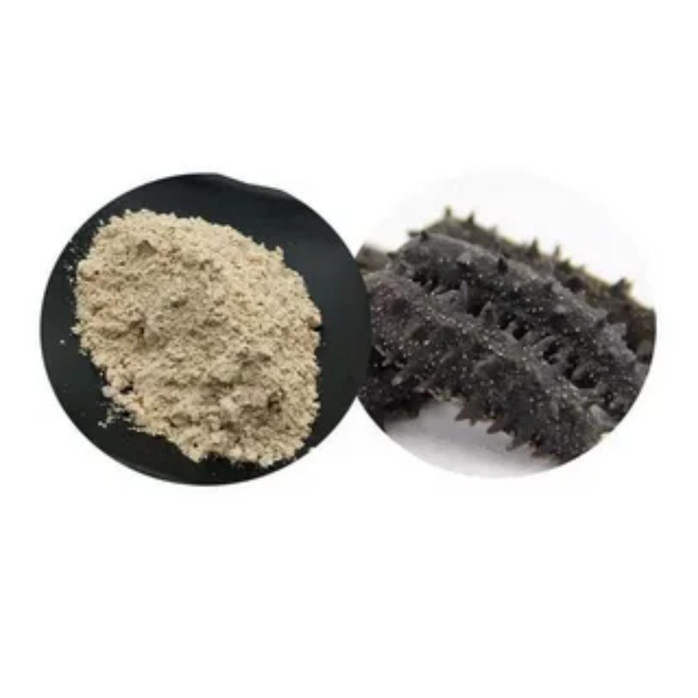 High Quality Sea Cucumber Peptides Powder 90% Sea Cucumber Extract Healthcare Supplement Sea Cucumber Peptides Powder for Sale High Quality Sea Cucumber Peptides Powder 90% Sea Cucumber Extract Healthcare Supplement Sea Cucumber Peptides Powder for Sale