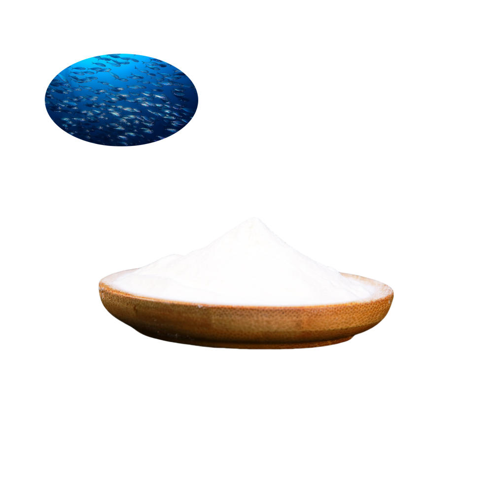 Health Bulk Pure Marine Collagen Peptide Protein Hydrolyzed Fish Collagen Powder for Drink,Food Health Bulk Pure Marine Collagen Peptide Protein Hydrolyzed Fish Collagen Powder for Drink,Food