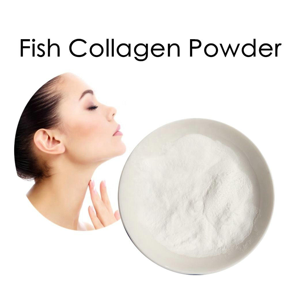Deep Sea Fish Collagen Peptide Powder Bulk Pure Hydrolyzed Fish Skin Collagen Peptides Powder 50KG MOQ Deep Sea Fish Collagen Peptide Powder Bulk Pure Hydrolyzed Fish Skin Collagen Peptides Powder 50KG MOQ