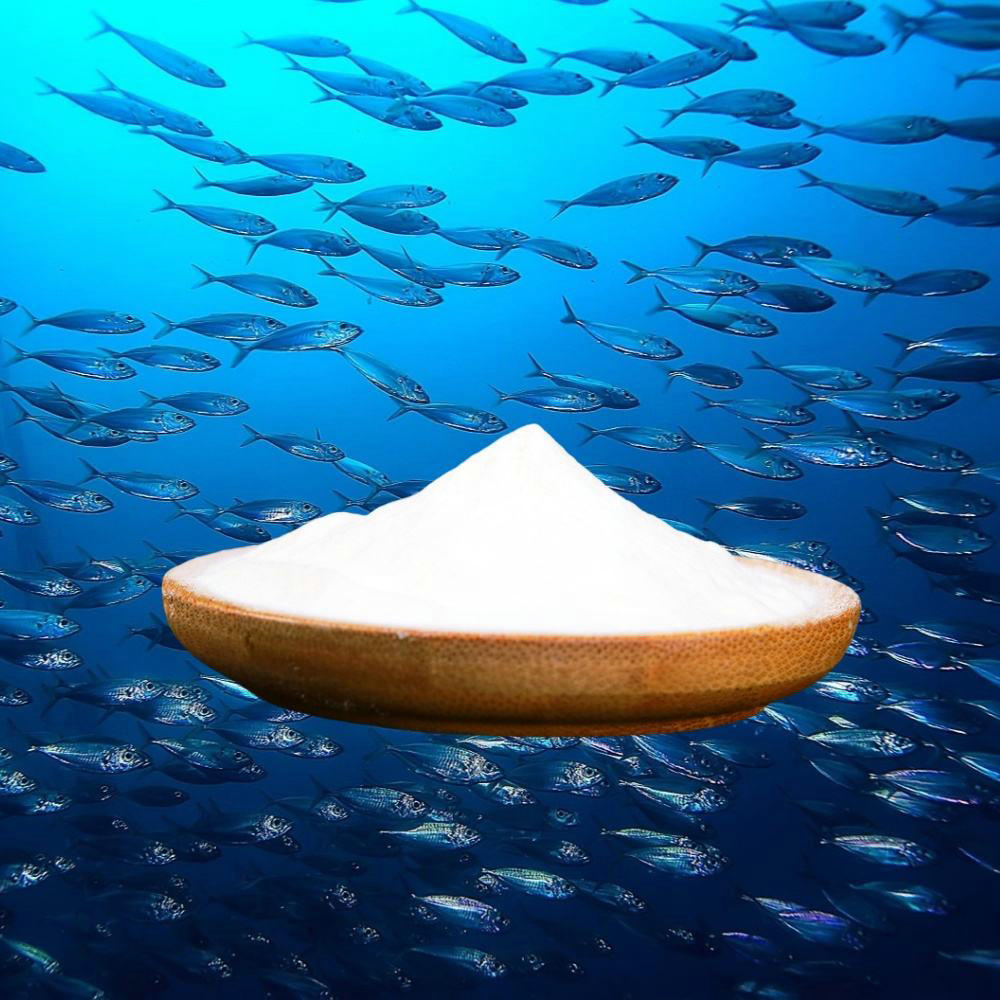 Deep Sea Fish Collagen Peptide Powder Bulk Pure Hydrolyzed Fish Skin Collagen Peptides Powder 50KG MOQ Deep Sea Fish Collagen Peptide Powder Bulk Pure Hydrolyzed Fish Skin Collagen Peptides Powder 50KG MOQ