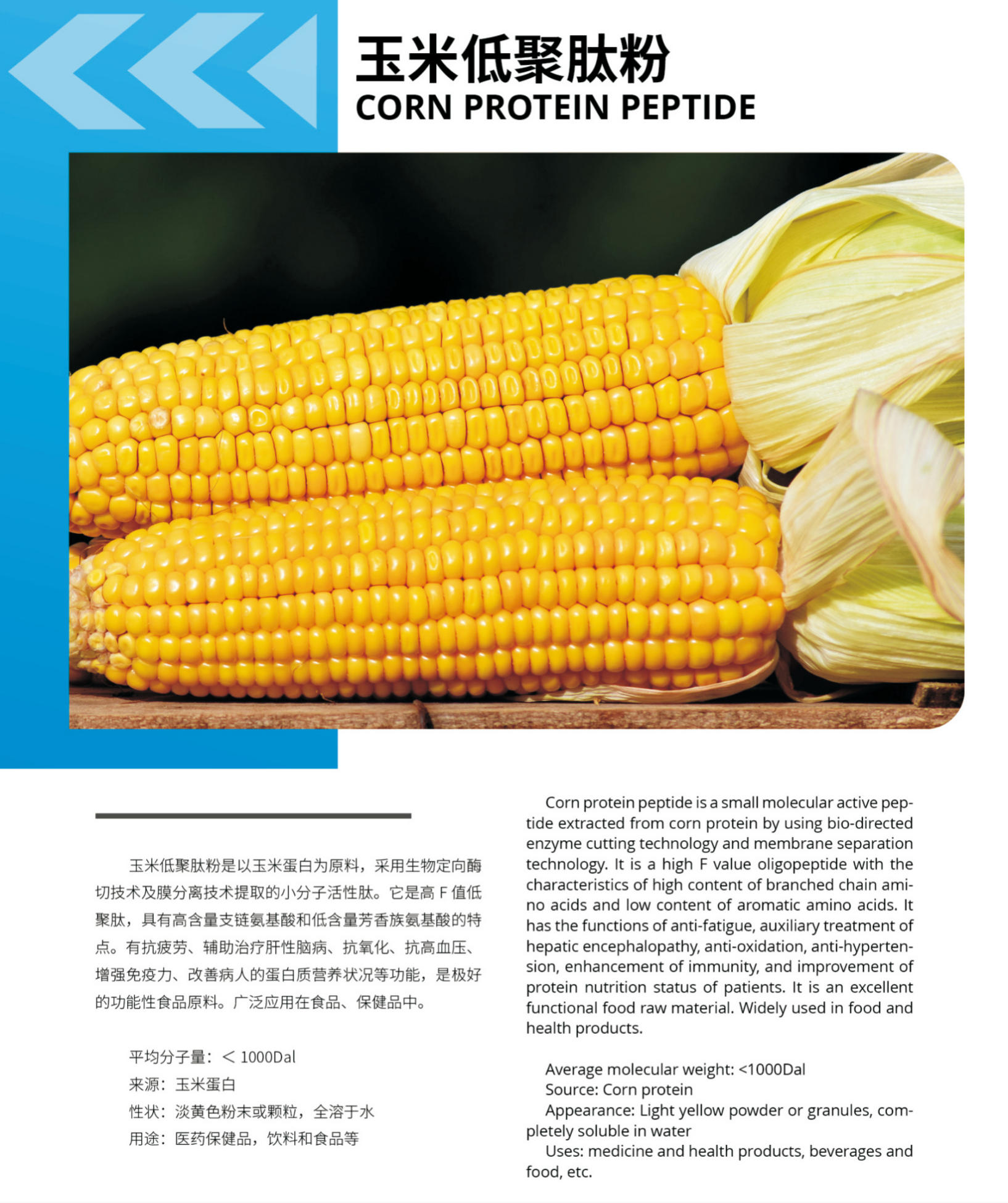 Food Grade Vital Proteins Collagen Peptides Powder Pure Corn Protein Extracted From Plants Herbal Extract Powder Food Grade Vital Proteins Collagen Peptides Powder Pure Corn Protein Extracted From Plants Herbal Extract Powder