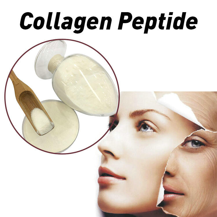 Vital Proteins Collagen Peptides Hydrolyzed Grass Fed Pasture Raised Beef Heart Tube Elastic Collagen Peptide Powder Vital Proteins Collagen Peptides Hydrolyzed Grass Fed Pasture Raised Beef Heart Tube Elastic Collagen Peptide Powder