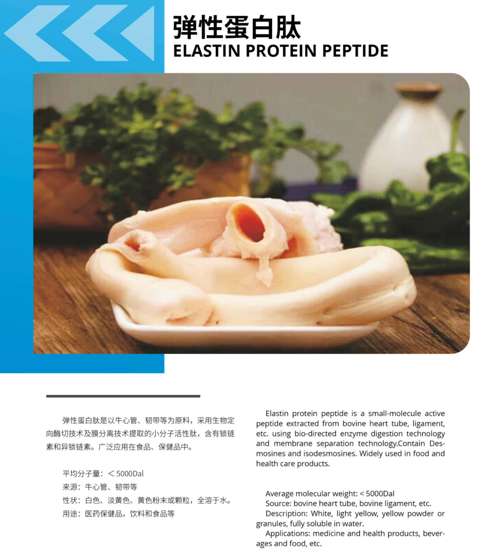Vital Proteins Collagen Peptides Collagen Peptides Beef Bovine Heart Tube Elastic Collagen Peptides Powder Vital Proteins Collagen Peptides Collagen Peptides Beef Bovine Heart Tube Elastic Collagen Peptides Powder